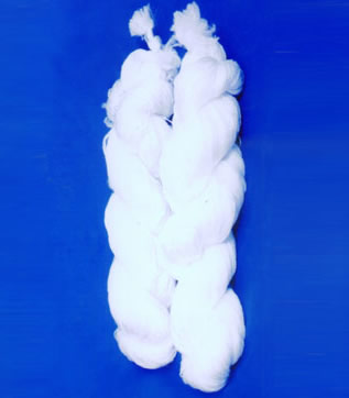 wS